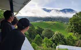 Casa Volcano Panoramic View